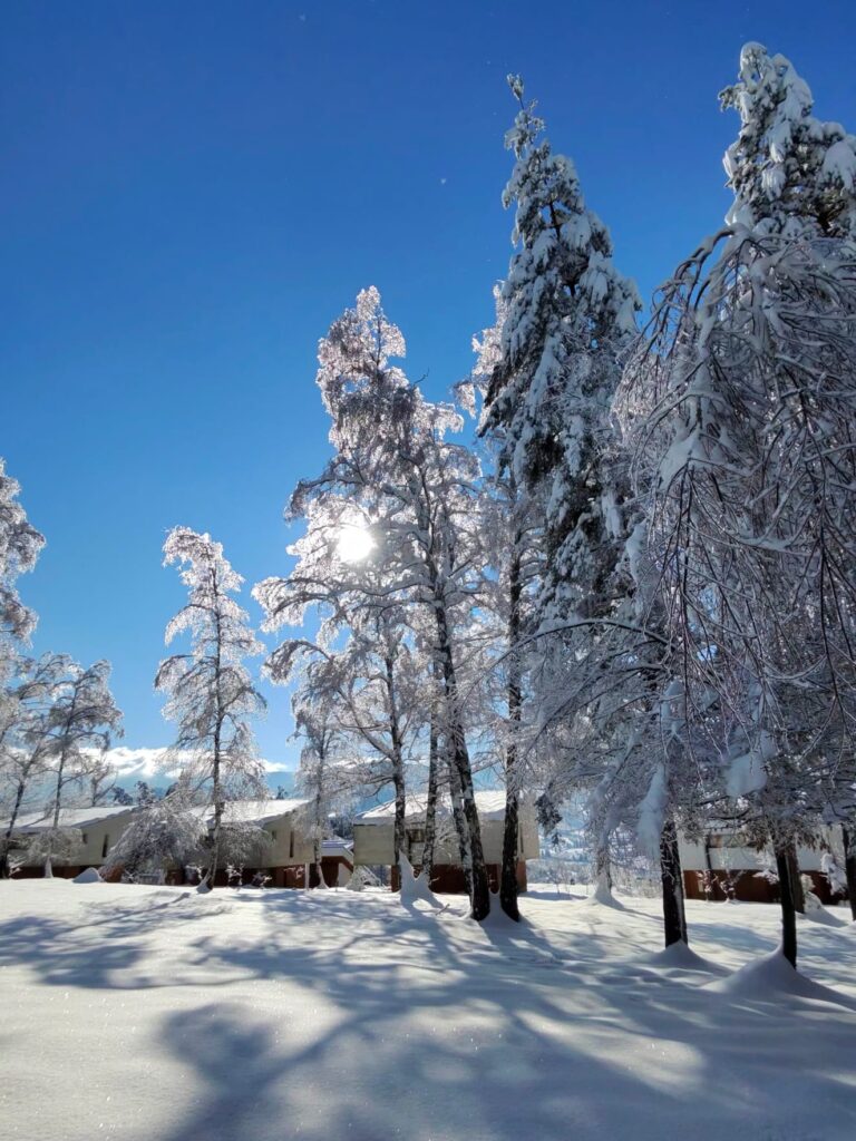 0-02-05-ec4967496cfb829715bcbd899385be3f606e5c9e6e263f04b6be5c77ffaf96fe_220b2adbd33